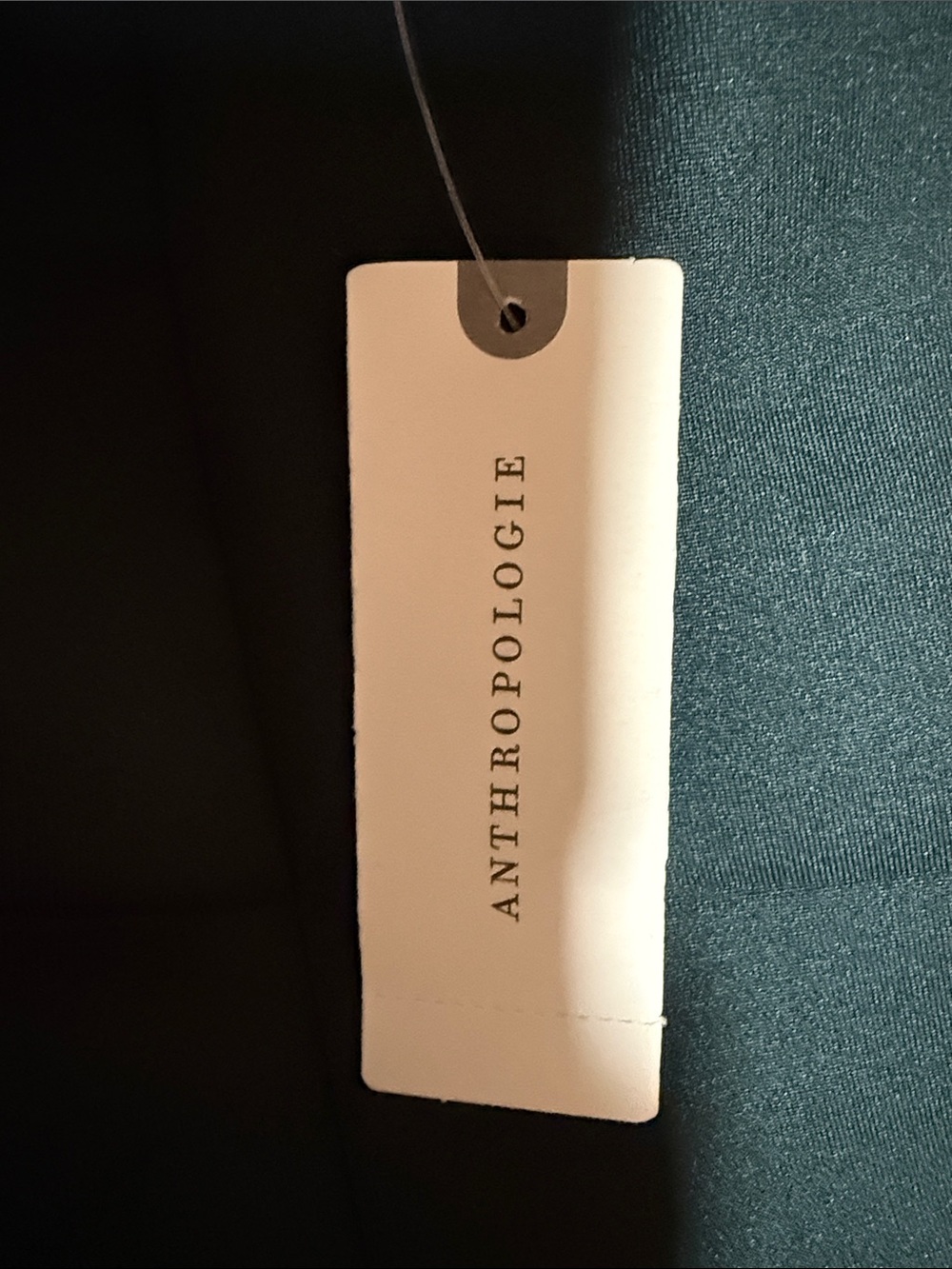 Maeve Anthropologie Holly Green Full Midi/Maxi Skirt XL NWT - Picture 4 of 4